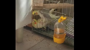 Anal-sex, Periquita - Unknown - 2025 - Intense - Experience - Video 622425