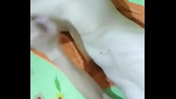 Puto Brincando Com Plug Anal