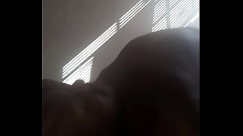 Except More Bright And A Mixture Of Spider Butterfly Scorpion