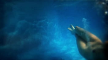 Missy Jubilee Xxx H.2.oh