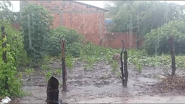 Vídeo De Verificação - verification-video - Video 574340