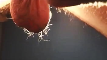 Jamiep - Mature, Solo, Bi-sexual, Impotent - Bi_sexual - 2025 - Amazing - Scene - Video 592020