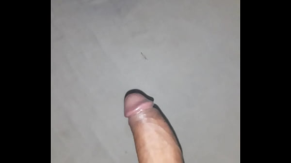 Real, Amador - Unknown - 2025 - Wild - Show - Video 591710