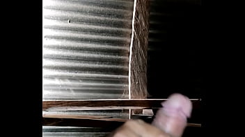 Lucas Sare - Boy, Guatemala - Unknown - 2025 - Wild - Session - Video 505559