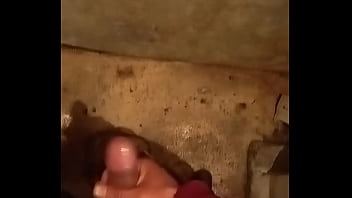 Les S Gusta Comentén