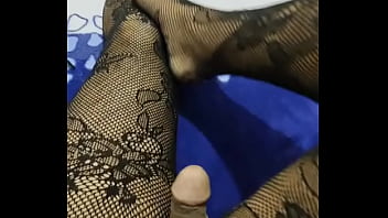 Colección 66 15 12 23