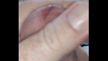 Pau Delicia - Bom-dia, Pau-delicia - Unknown - 2025 - Intense - Show - Video 568590