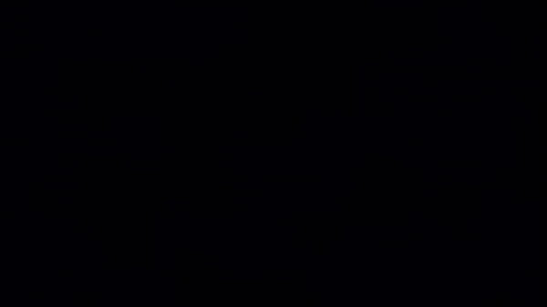 Vídeo De Verificación - verification-video - Video 556219