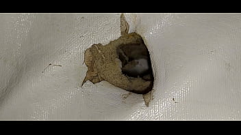 I Fuck The Hole In The Mattress And Ejaculate Sperm In The Mattress 3