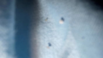 Having Fun With My Stupid Wife Lol