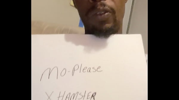 Verification Video - verification-video - Video 504324