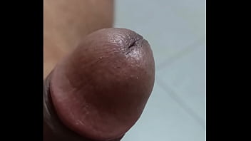 Piroca Cabeçuda Em Ação