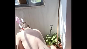 Coelhinho Pulando No Cenourão De Borracha