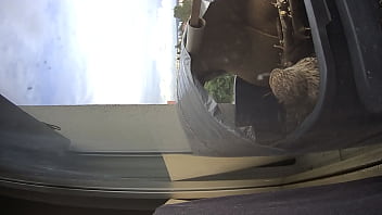 Leaving, Mana - Unknown - 2025 - Hot - Show - Video 482467