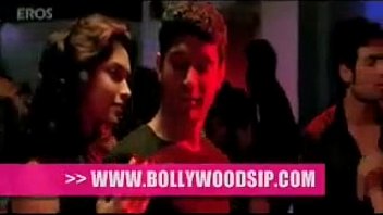 Unknown - 2025 - Wild - Experience - Video 6553257