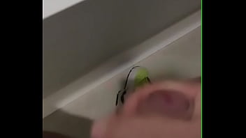 Batendo Com Muita Força, Com Muito Tesão