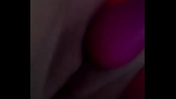 Novos Brinquedos Adoro