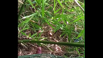 Follando Rejas Desnudó En La Calle Hasta Correrme