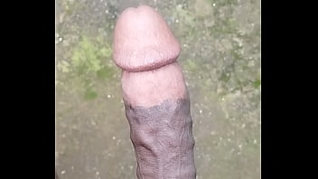 Shaved Black Cock