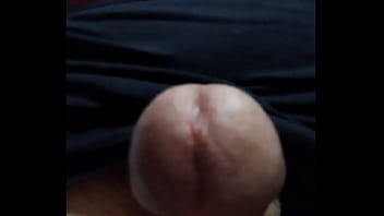 Vídeo De Verificação - verification-video - Video 380359