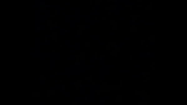 Audio Only. Blowjob And Doggystyle On The Couch