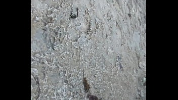 T Back11 - Rain, Heavy - Unknown - 2025 - Sexy - Session - Video 357686