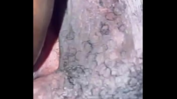 Double Penetration - cum, pussy, anal-sex - Video 347488