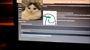 Verification Video - verification-video - Video 297016