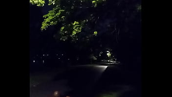 Midnight Walk In The Park