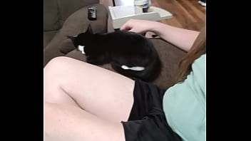 Verification Video - verification-video - Video 338000