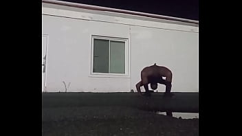 Also Known As The Squid Dance