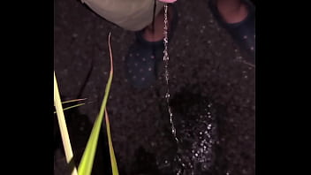 Debujidori - Public, Pee, Piss, 無修正, 日本人, 露出, おしっこ, 野外 - Pissing - 2025 - Sexy - Experience - Video 315931