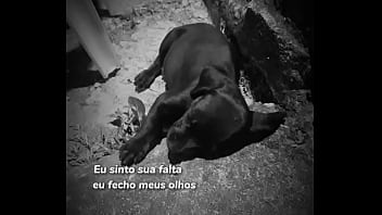 Vídeo De Verificação - Video 284594