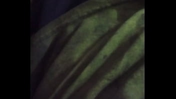 Verification Video - verification-video - Video 313018