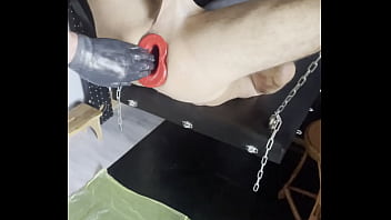 So Wird Toms Arsch Mit Dem Pighole Geweitet