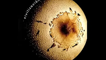 Los Piojos - Civilización