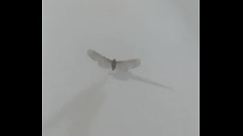 Vizinha Metendo E Gemendo Muito