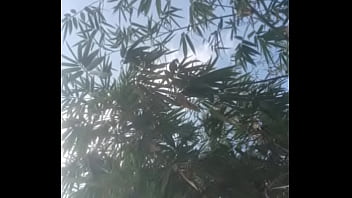 Vizinha Gemendo Apenas áudio