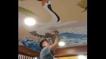 Verification Video - verification-video - Video 309156