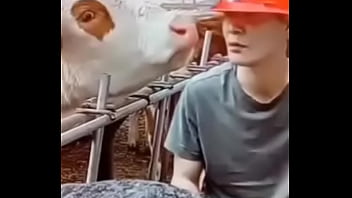 Unknown - 2025 - Amazing - Show - Video 310669