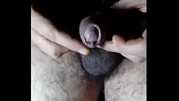 Viado653 - Cock, Butt, Hairy, Gay-amateur - Ass - 2025 - Hot - Show - Video 263930