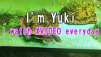 Yuki6581 - Glans, Verification-video, 亀頭 - Unknown - 2025 - Hot - Performance - Video 305386