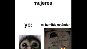 Mi Humilde Estándar