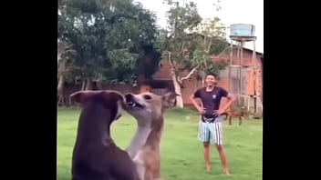 Memes, Shitposting - Unknown - 2025 - Steamy - Session - Video 307508