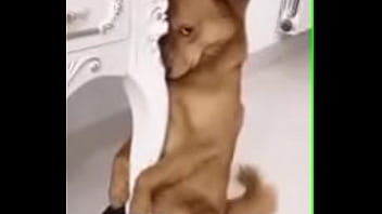 Sex, Licking, Fucking, Hardcore, Babe, Interracial, Rough, Fuck, Ebony, Masturbation, Oral, Big-ass, - Gay - 2025 - Incredible - Scene - Video 312276