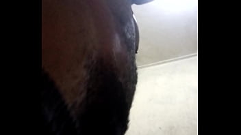 Verification Video - verification-video - Video 312203