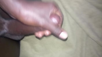 Verification Video - verification-video - Video 260253