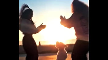 Verification Video - verification-video - Video 307253