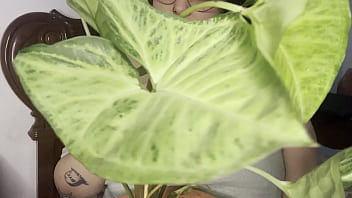 Hello Dear Big Natural Tit Wiggle