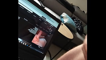 Vérifications Toyboy